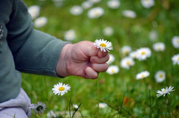 A Good Life Span